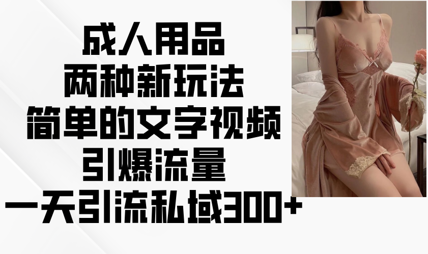 成人用品两种新玩法，简单的文字视频引爆流量，一天引流私域300+-网赚联盟