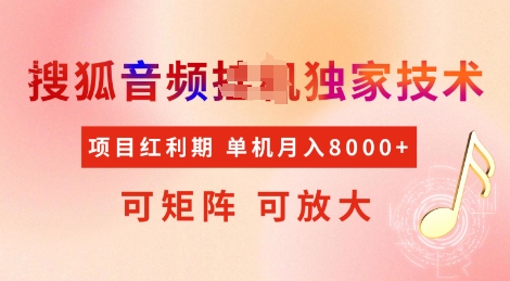 全网首发搜狐音频挂JI独家技术，项目红利期，可矩阵可放大，稳定月入8k【揭秘】-网赚联盟