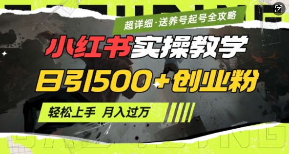 2月小红书最新日引500+创业粉实操教学【超详细】小白轻松上手，月入1W+，附小红书养号起号SOP-网赚联盟