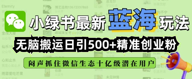 小绿书无脑搬运引流，全自动日引500精准创业粉，微信生态内又一个闷声发财的机会-网赚联盟