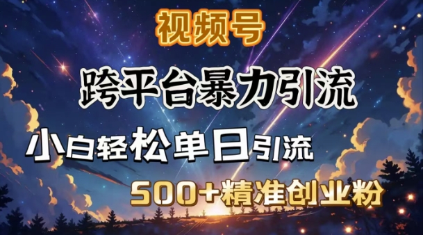 跨平台暴力引流，私域完美闭环，日引500+精准创业粉-网赚联盟