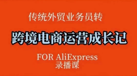 跨境电商速卖通运营课，​运营方法论+后台实操，逻辑清晰-网赚联盟