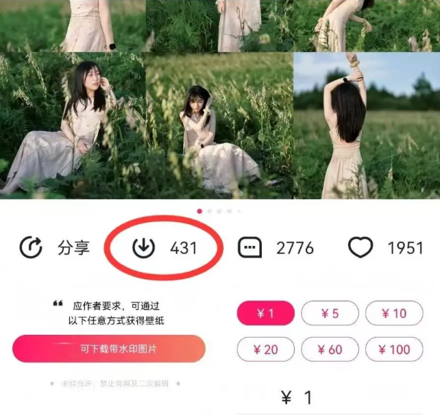 最新图虫搬运项目，收益无上限，利用AI小白也可日赚500+-网赚联盟