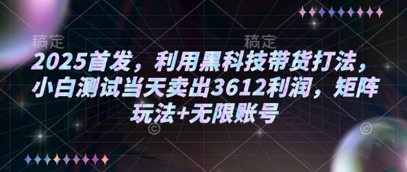 2025首发，利用黑科技带货打法，小白测试当天卖出3612利润，矩阵玩法+无限账号【揭秘】-网赚联盟