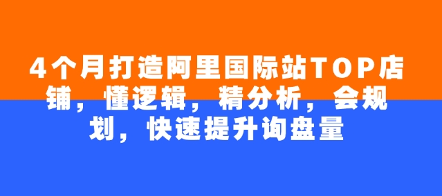 4个月打造阿里国际站TOP店铺，懂逻辑，精分析，会规划，快速提升询盘量-网赚联盟
