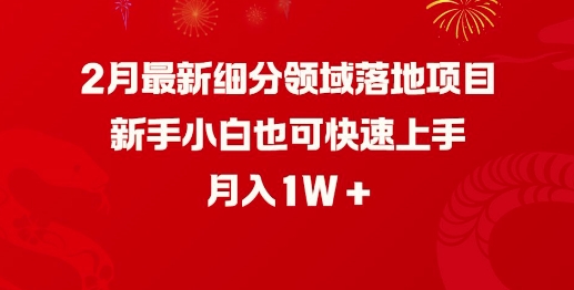 2月最新细分领域落地项目，新手小白也可快速上手，月入1W-网赚联盟