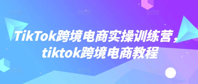 TikTok跨境电商实操训练营，tiktok跨境电商教程-网赚联盟