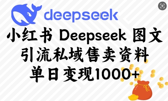 小红书Deepseek图文引流私域售卖资料，单日变现多张-网赚联盟