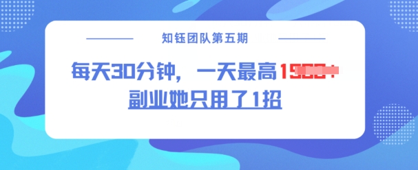 副业她只用了1招，每天30分钟，无脑二创，一天最高1.5k-网赚联盟