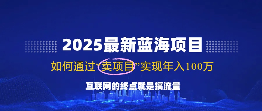 2025最新蓝海项目，零门槛轻松复制，月入10万+，新手也能操作！-网赚联盟