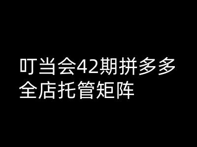 叮当会拼多多打爆班原创高阶技术第42期，拼多多全店托管矩阵-网赚联盟
