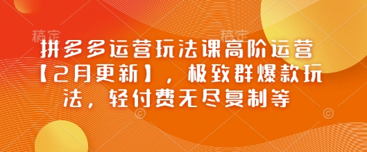 拼多多运营玩法课高阶运营【2月更新】，极致群爆款玩法，轻付费无尽复制等-网赚联盟
