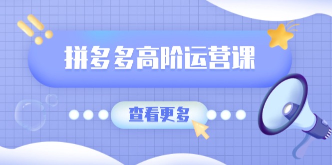 拼多多高阶运营课：极致群爆款玩法，轻付费无尽复制，打造单品爆款之路-网赚联盟