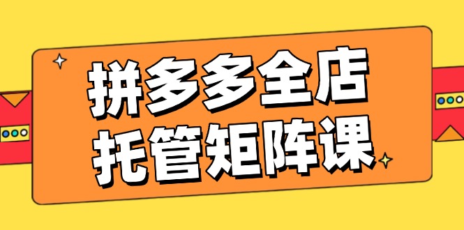 拼多多全店托管矩阵课，盈利动销玩法，高效计划设置，提升店铺效益-网赚联盟