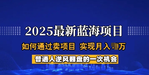 2025蓝海项目，普通人如何通过卖项目，实现月入过W，全过程【揭秘】-网赚联盟