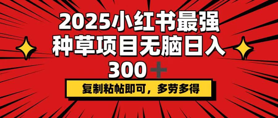 2025小红书最强种草项目，无脑日入300+，复制粘帖即可，多劳多得-网赚联盟