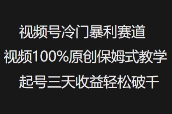 视频号冷门暴利赛道视频100%原创保姆式教学起号三天收益轻松破千-网赚联盟