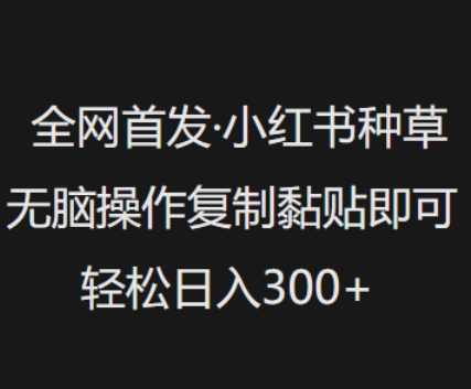 全网首发，小红书种草无脑操作，复制黏贴即可，轻松日入3张-网赚联盟