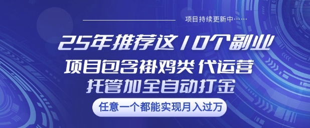 25年推荐这10个副业项目包含褂鸡类、代运营托管类、全自动打金类【揭秘】-网赚联盟