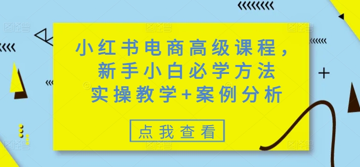 小红书电商高级课程，新手小白必学方法，实操教学+案例分析-网赚联盟