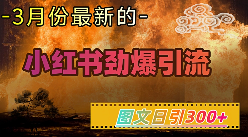 小红书超劲爆引流手段，图文日引300+轻松变现1W-网赚联盟