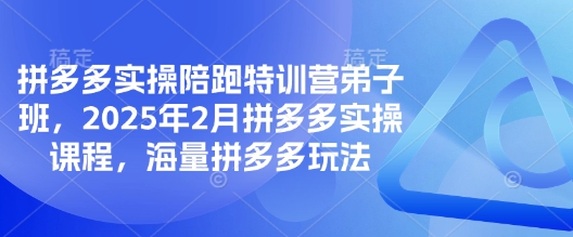 拼多多实操陪跑特训营弟子班，2025年2月拼多多实操课程，海量拼多多玩法-网赚联盟