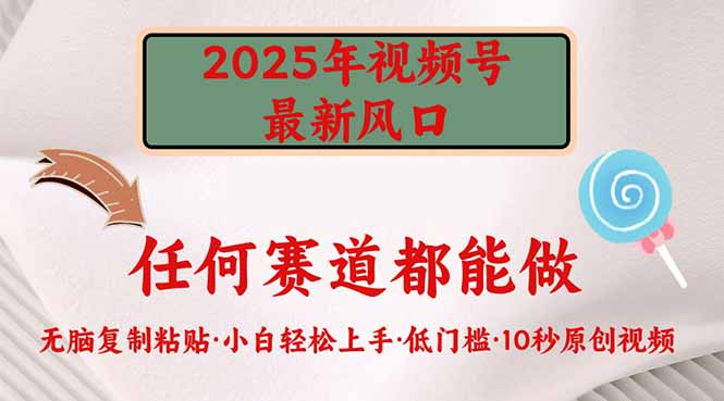 2025年视频号新风口，低门槛只需要无脑执行-网赚联盟