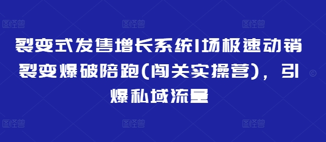 裂变式发售增长系统1场极速动销裂变爆破陪跑(闯关实操营)，引爆私域流量-网赚联盟