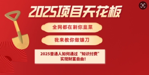 2025项目天花板普通人如何通过知识付费，实现财F自由【揭秘】-网赚联盟