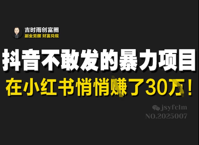 抖音不敢发的暴利项目，在小红书悄悄挣了30W-网赚联盟