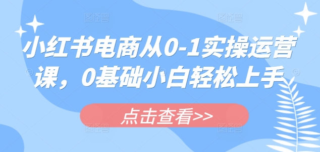 小红书电商从0-1实操运营课，0基础小白轻松上手-网赚联盟