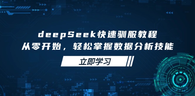 deepSeek快速驯服教程，从零开始，轻松掌握数据分析技能-网赚联盟