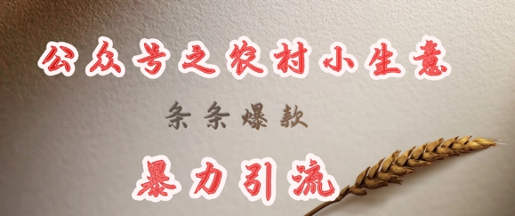 deepseek写农村小项目，条条爆款，暴力引流-网赚联盟
