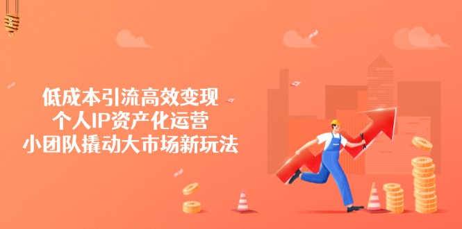 低成本引流高效变现，个人IP资产化运营，小团队撬动大市场新玩法-网赚联盟