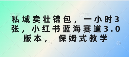 私域卖壮锦包，一小时3张，小红书蓝海赛道3.0版本， 保姆式教学-网赚联盟