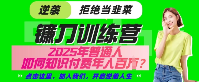 【网创项目终点站-镰刀训练营超级IP合伙人】25年普通人如何通过知识付费实现逆袭【揭秘】-网赚联盟