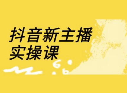 抖音新主播实操课，直播间流量运营线上实操课(18节)-网赚联盟