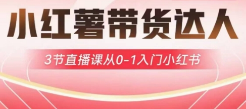 小红薯达人带货启航计划，3节直播课从0-1入门小红书-网赚联盟