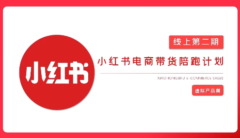 2025小红书虚拟电商实战课，从0到1打造无货源店铺，AI+爆款笔记轻松变现-网赚联盟