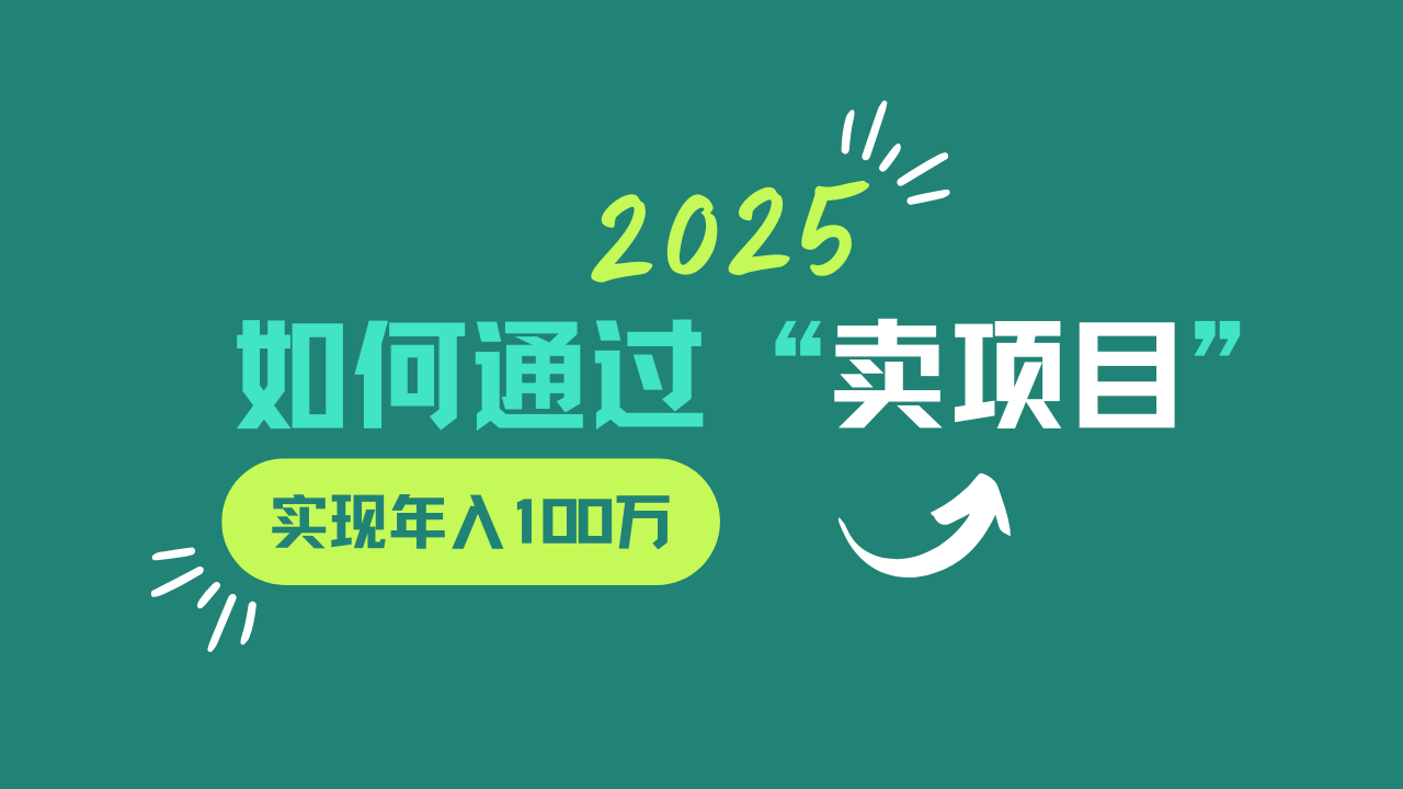 2025年如何通过“卖项目”实现年入100w-网赚联盟