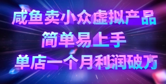 咸鱼卖小众虚拟产品，简单易上手，单店一个月利润破W-网赚联盟