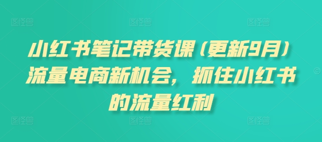 小红书笔记带货课(更新25年3月)流量电商新机会，抓住小红书的流量红利-网赚联盟