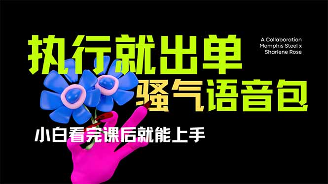 爆火全网的开车导航骚气语音包,只要执行就出单，小白看完课程就能实操…-网赚联盟