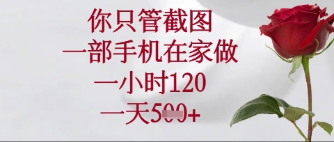 你只管截图，一部手机在家操作，一小时120.一天5张【揭秘】-网赚联盟