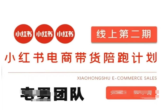 小红书电商带货课2期，月利润20个的小红书电商的有货源，无货源，虚拟产品，付费投流等整套玩法-网赚联盟