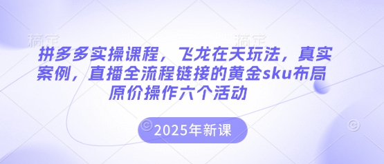 拼多多实操课程，飞龙在天玩法，真实案例，直播全流程链接的黄金sku布局原价操作六个活动-网赚联盟