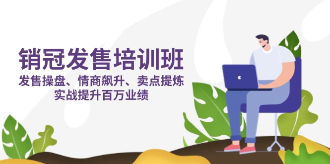 销冠 发售培训班：发售 操盘+情商 飙升+卖点 提炼，实战提升百万业绩-网赚联盟