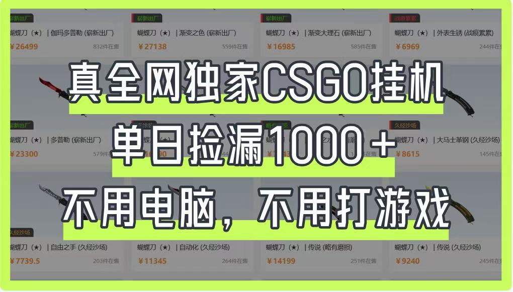 真全网独家CSGO挂机，单日捡漏1000+，不用电脑，不用养号-网赚联盟