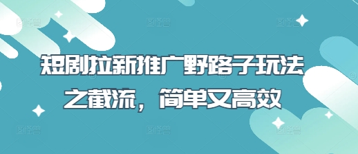 短剧拉新推广野路子玩法之截流，简单又高效-网赚联盟