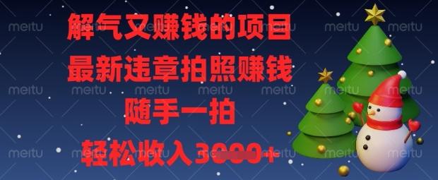 解气又挣钱的项目，最新违章拍照挣钱，随手一拍，轻松收入数张【揭秘】-网赚联盟